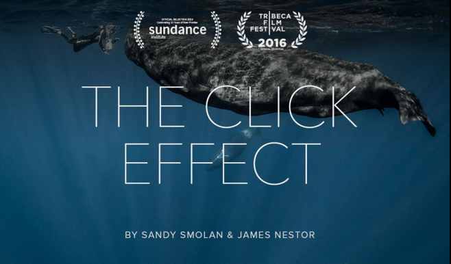The Click Effect