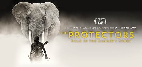 The Protectors